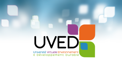 Logo de l'UVED, Université Virtuelle Environnement et Développement durable représentant des pétales violette, orange, verte et bleue.